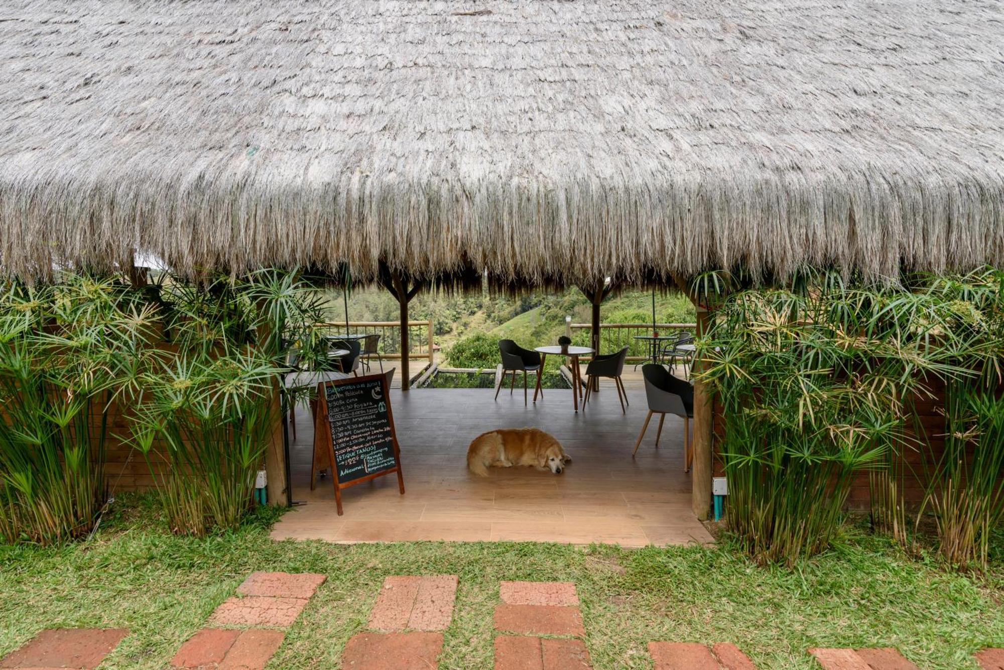 Levit Glamping - Hotel Guatape Penol (Adults Only) Kültér fotó